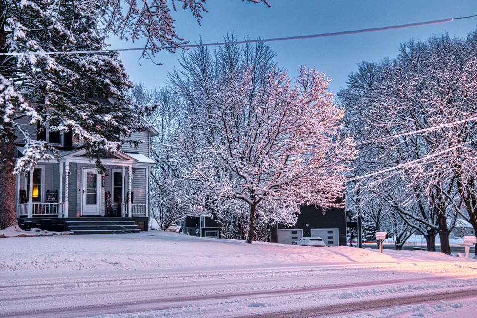Snow-covered trees and houses in a serene residential area in Plainview, MN, USA.